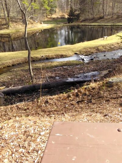 Fox Pond Park - Plymouth, NH