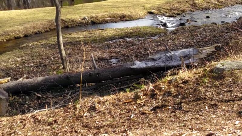 Fox Pond Park - Plymouth, NH