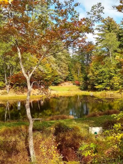 Fox Pond Park - Plymouth, NH