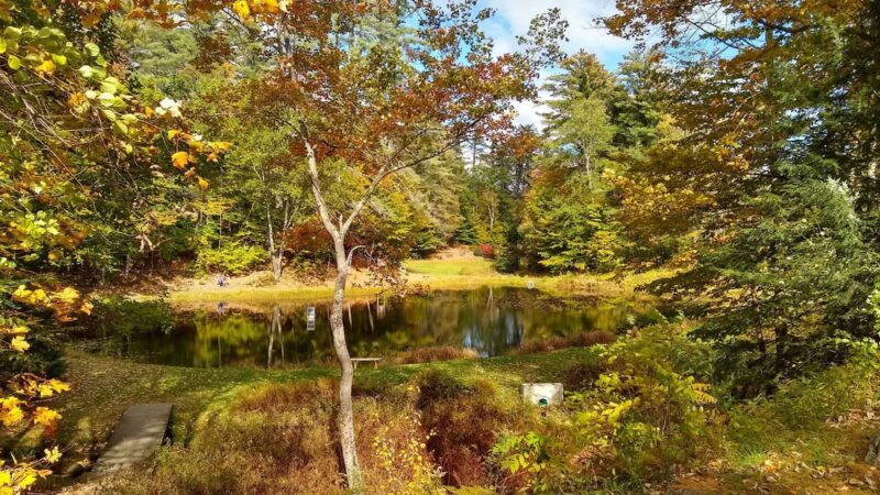 Fox Pond Park - Plymouth, NH