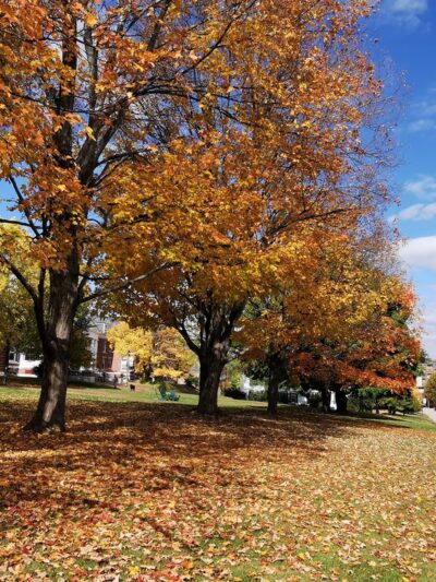 Plymouth Parks & Recreation - Plymouth, NH