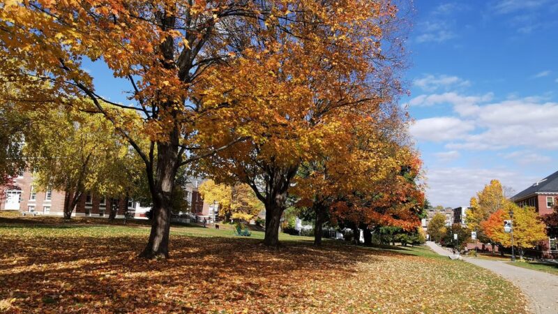 Plymouth Parks & Recreation - Plymouth, NH