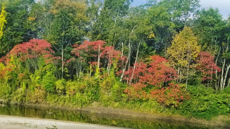 Plymouth Sands Campground - Plymouth, NH