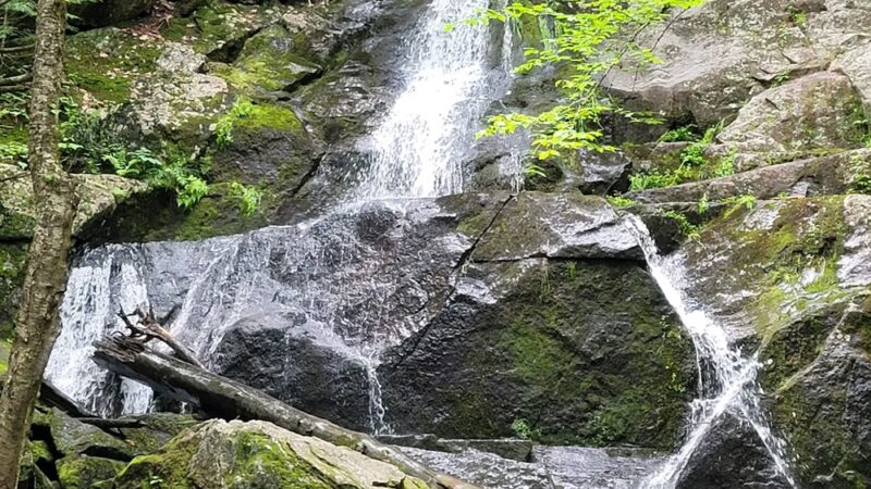 Walter Newton Natural Area Conservation Area & Waterfall - Plymouth, NH