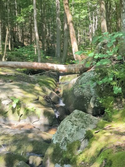 Walter Newton Natural Area Conservation Area & Waterfall - Plymouth, NH