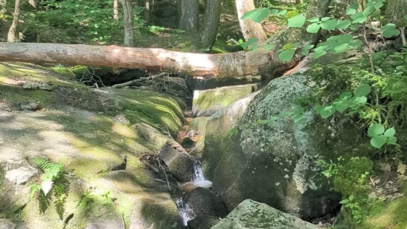 Walter Newton Natural Area Conservation Area & Waterfall - Plymouth, NH