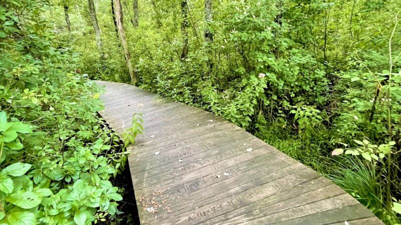 Cato’s Ridge Conservation Area - Plympton, MA