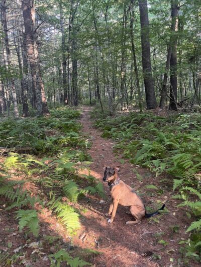 Harry Jason Jr. Park - Plympton, MA