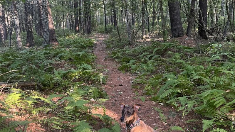 Harry Jason Jr. Park - Plympton, MA