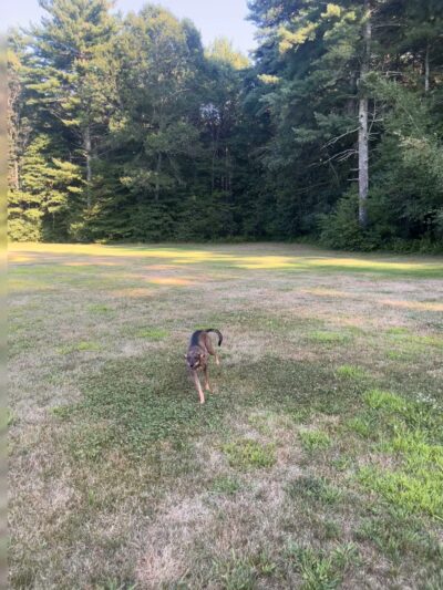 Harry Jason Jr. Park - Plympton, MA