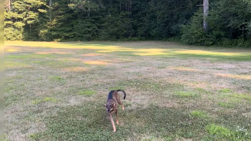 Harry Jason Jr. Park - Plympton, MA