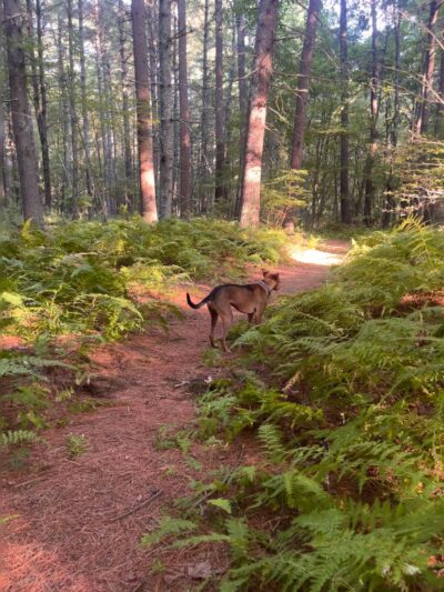 Harry Jason Jr. Park - Plympton, MA