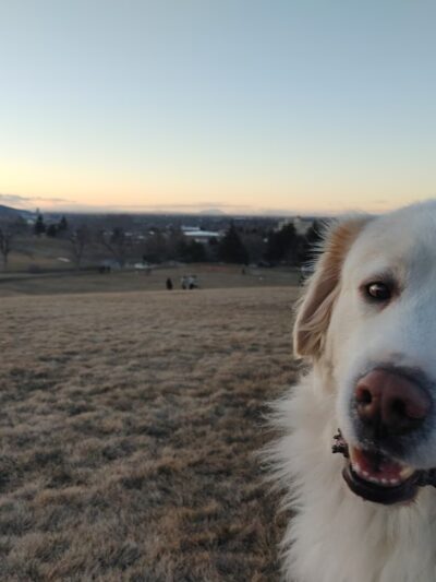 Bartz Field - Pocatello, ID
