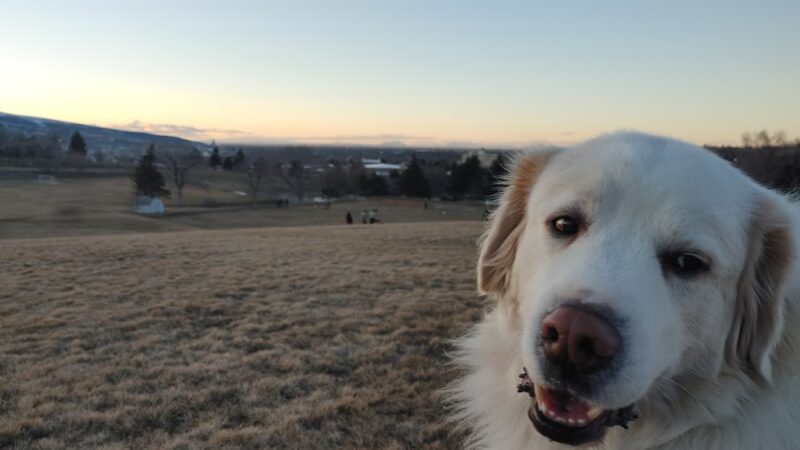 Bartz Field - Pocatello, ID