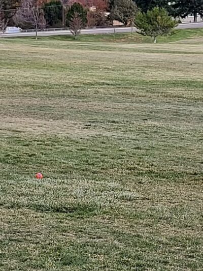 Bartz Field - Pocatello, ID