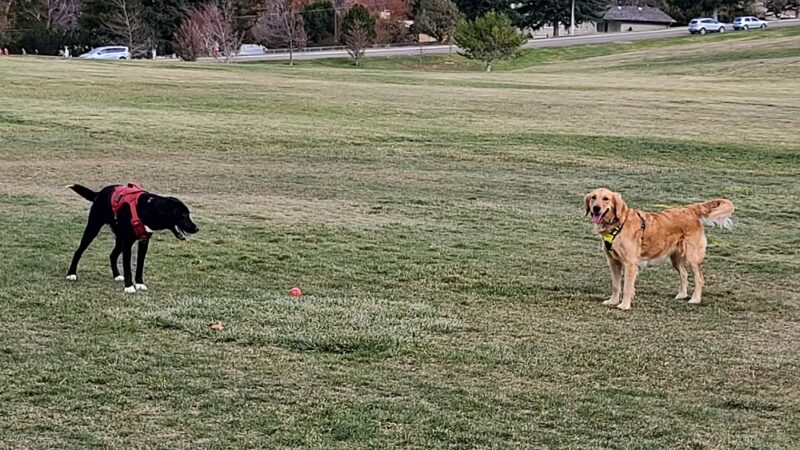 Bartz Field - Pocatello, ID