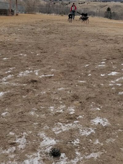 Katie's Dog Park - Pocatello, ID