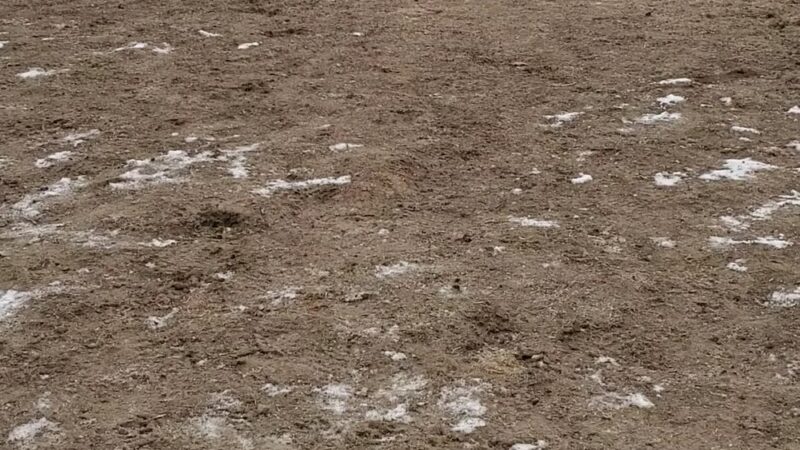 Katie's Dog Park - Pocatello, ID