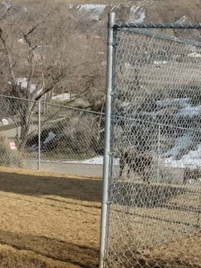 Katie's Dog Park - Pocatello, ID