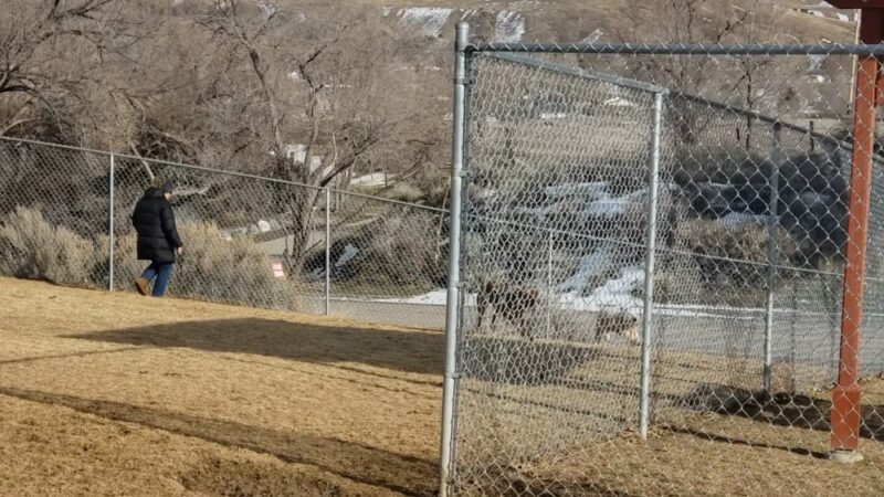 Katie's Dog Park - Pocatello, ID