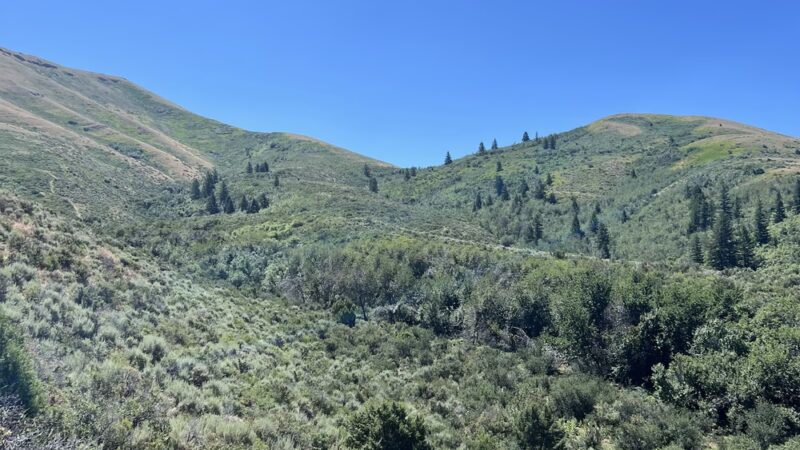 Kinney Creek Trailhead - Pocatello, ID
