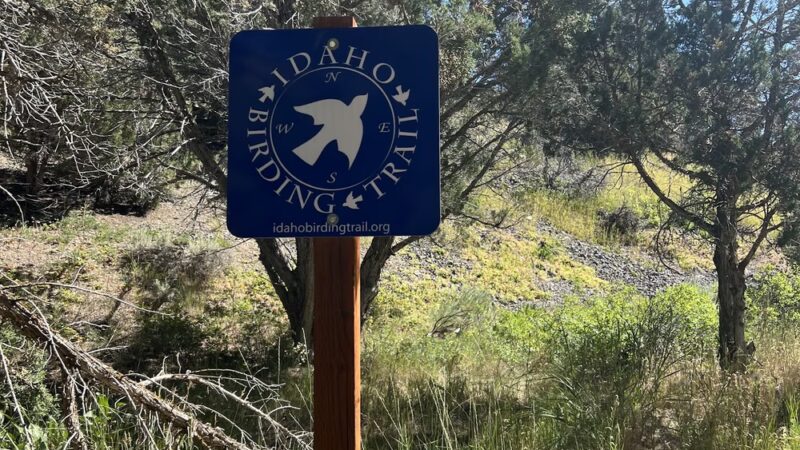 Kinney Creek Trailhead - Pocatello, ID