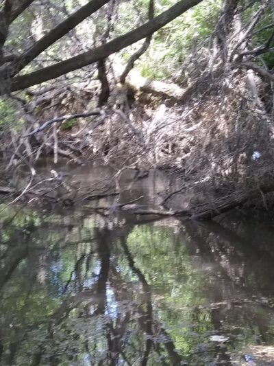 Pocatello creek - Pocatello, ID