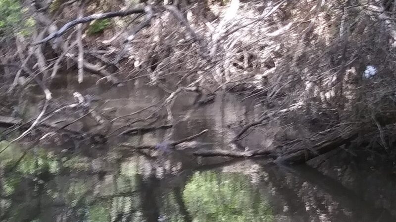 Pocatello creek - Pocatello, ID