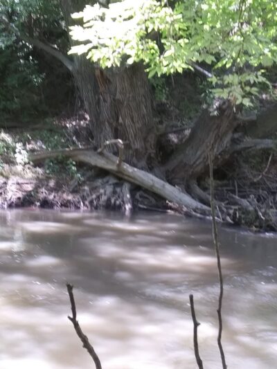 Pocatello creek - Pocatello, ID