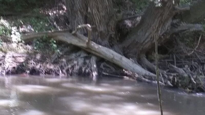 Pocatello creek - Pocatello, ID