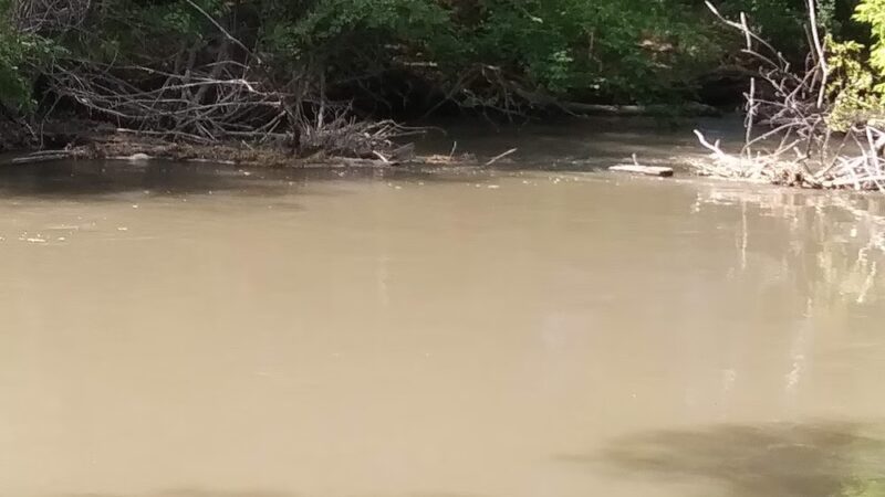 Pocatello creek - Pocatello, ID