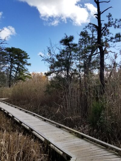 Beaver Dam Creek County Park - Point Pleasant, NJ