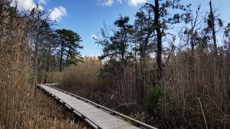 Beaver Dam Creek County Park - Point Pleasant, NJ