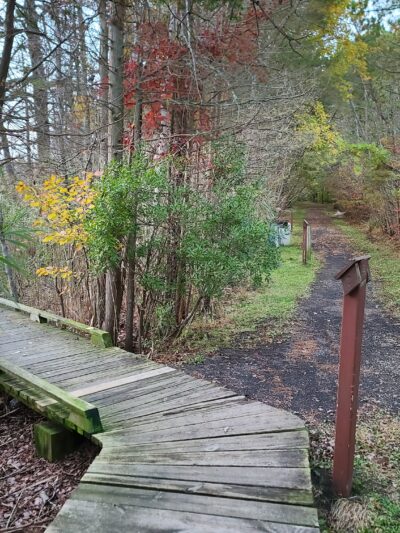 Beaver Dam Creek County Park - Point Pleasant, NJ