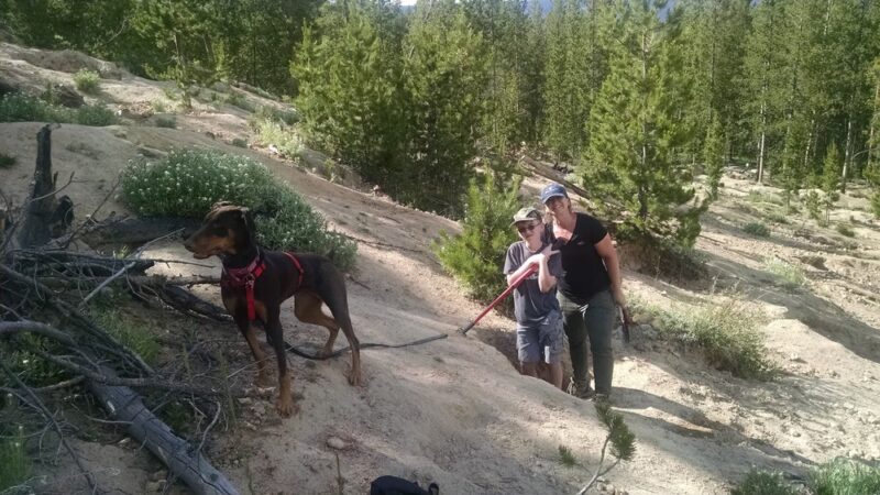 Crystal Park Picnic Area - Polaris, MT