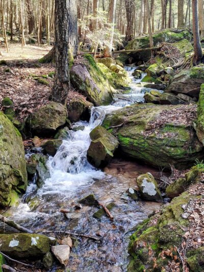 Clear Creek State Forest Kennderdell Tract Parking - Polk, PA