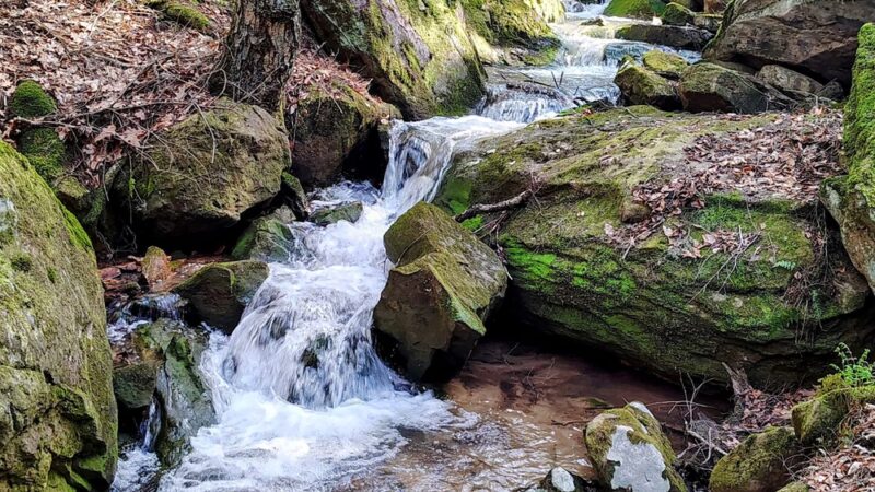 Clear Creek State Forest Kennderdell Tract Parking - Polk, PA