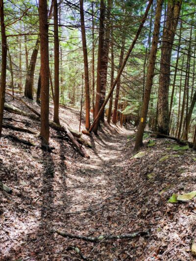 Clear Creek State Forest Kennderdell Tract Parking - Polk, PA