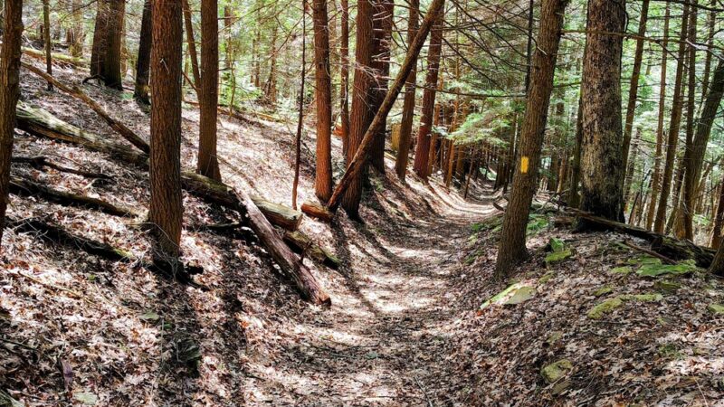 Clear Creek State Forest Kennderdell Tract Parking - Polk, PA