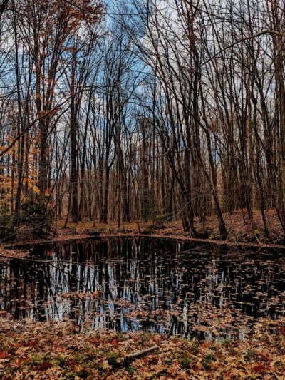 Clear Creek State Forest - Kennerdell - Trail Head Parking - Polk, PA