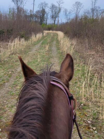 Clear Creek State Forest - Kennerdell - Trail Head Parking - Polk, PA