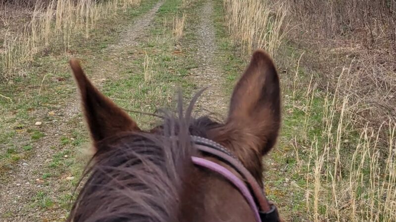 Clear Creek State Forest - Kennerdell - Trail Head Parking - Polk, PA