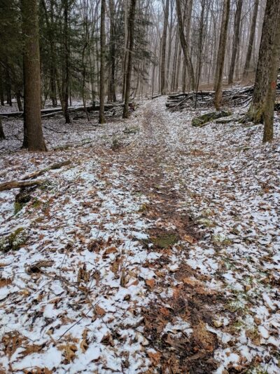 Clear Creek State Forest - Kennerdell - Trail Head Parking - Polk, PA