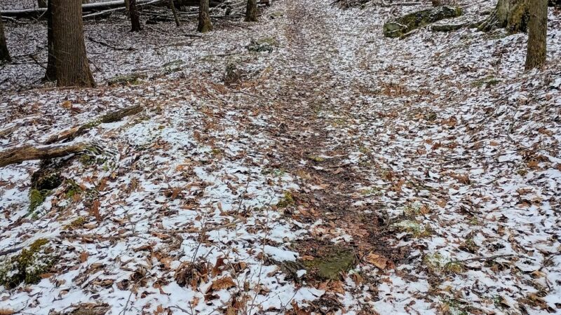 Clear Creek State Forest - Kennerdell - Trail Head Parking - Polk, PA