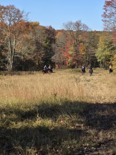 Pennsylvania Brittany Club Grounds - Polk, PA