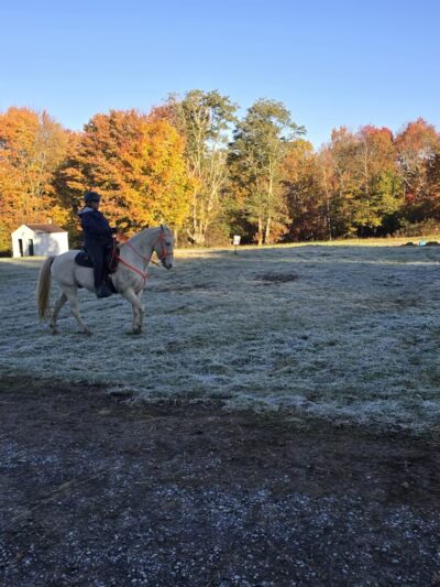 Pennsylvania Brittany Club Grounds - Polk, PA