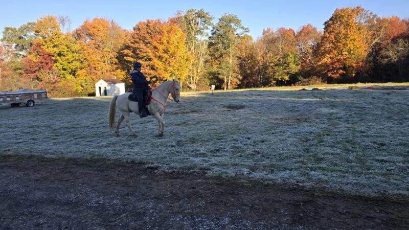 Pennsylvania Brittany Club Grounds - Polk, PA