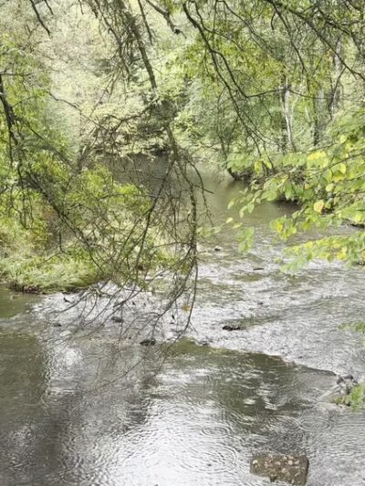 state Game Lands # 39 - Polk, PA