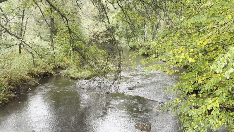 state Game Lands # 39 - Polk, PA