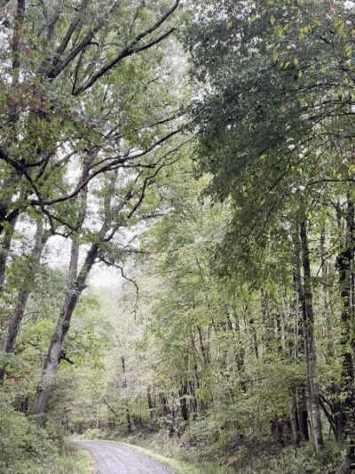 state Game Lands # 39 - Polk, PA